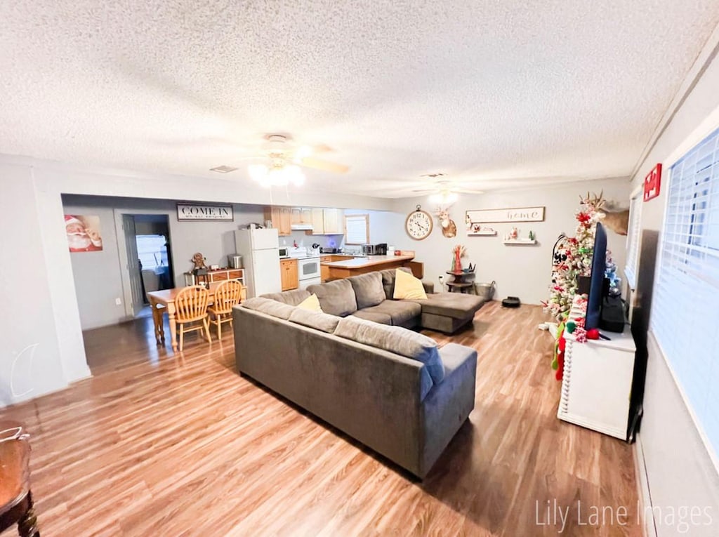 living room with a healthy amount of sunlight, a textured ceiling, and light wood-type flooring