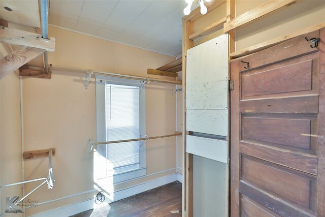 spacious closet featuring dark hardwood / wood-style flooring
