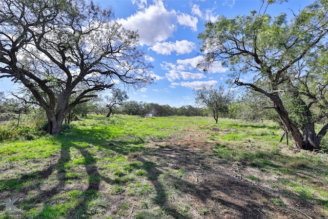 view of local wilderness featuring a rural view