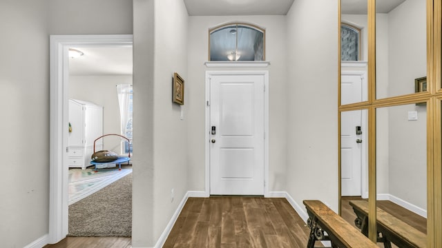 entrance foyer featuring dark hardwood / wood-style flooring