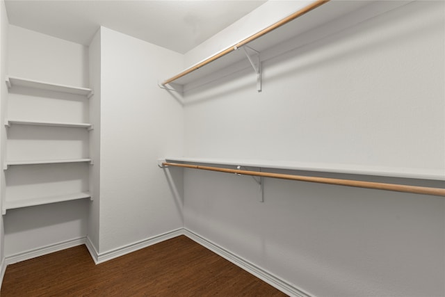 walk in closet featuring dark hardwood / wood-style floors