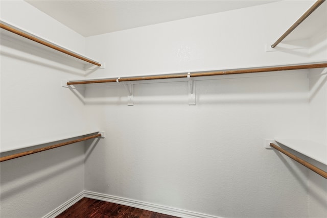 spacious closet with dark hardwood / wood-style flooring