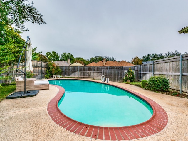 view of swimming pool featuring a diving board and a patio