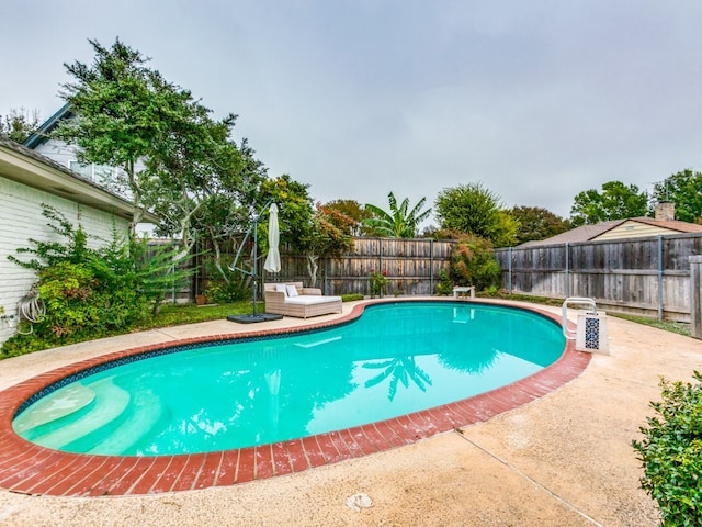 view of swimming pool