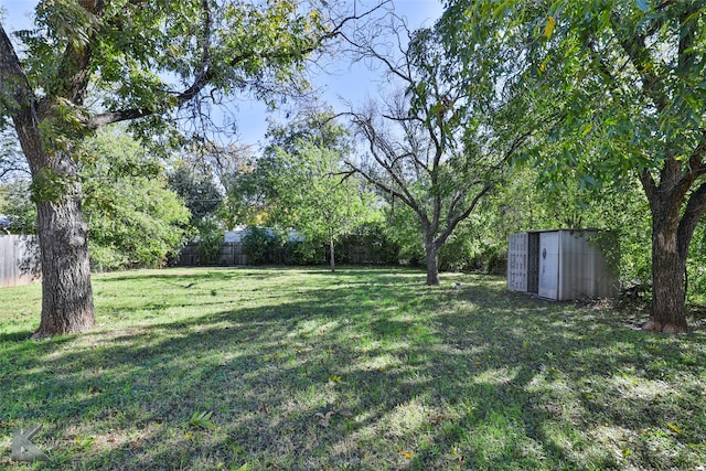 view of yard with a storage shed