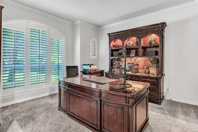 carpeted office space with crown molding