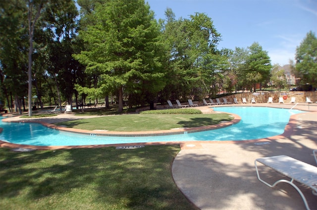 view of swimming pool featuring a yard