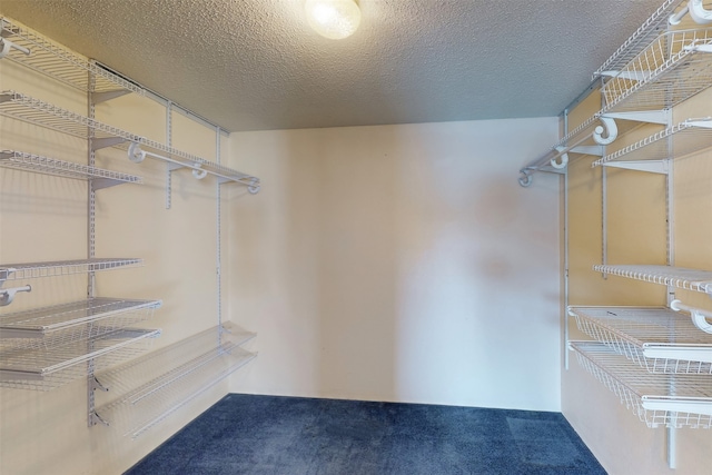 walk in closet featuring carpet flooring