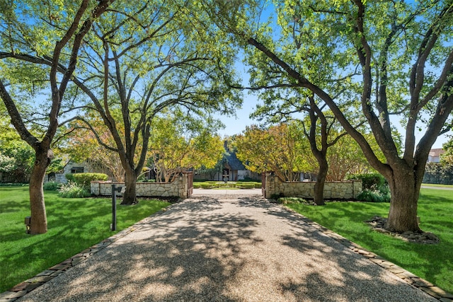 exterior space with a lawn