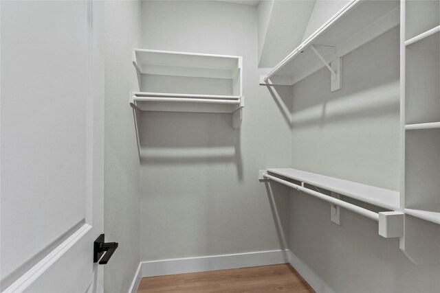 walk in closet with hardwood / wood-style floors