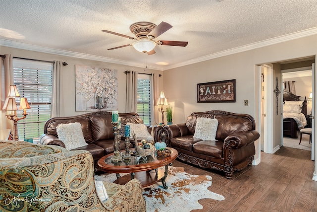 living room with hardwood / wood-style floors, a textured ceiling, and crown molding