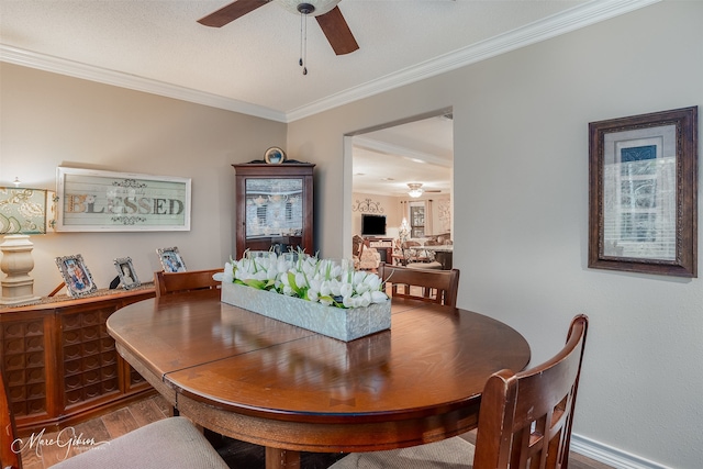 dining area with a textured ceiling, ceiling fan, wood-type flooring, and crown molding