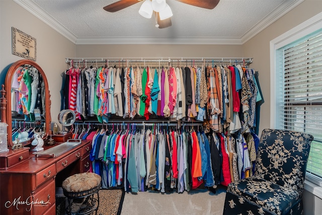 spacious closet with ceiling fan and carpet floors