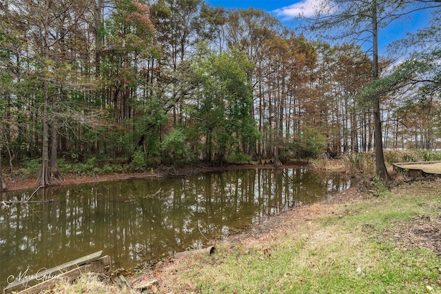 water view