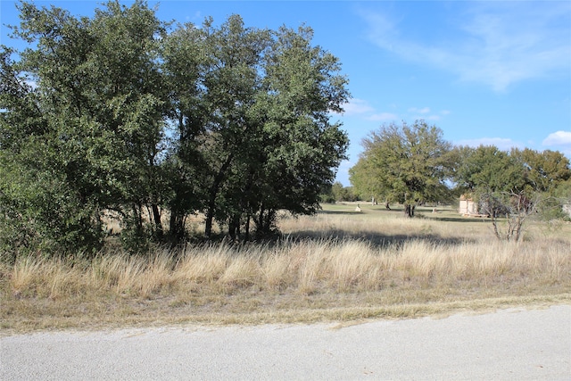 Listing photo 2 for TBDLOT922 Safe Harbor Dr, Brownwood TX 76801