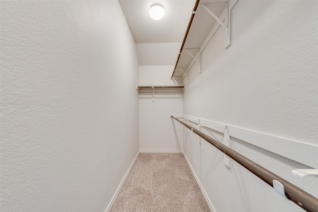 spacious closet featuring light carpet