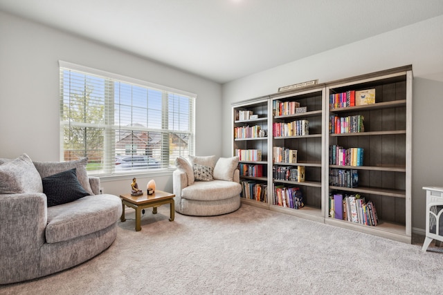 living area featuring carpet