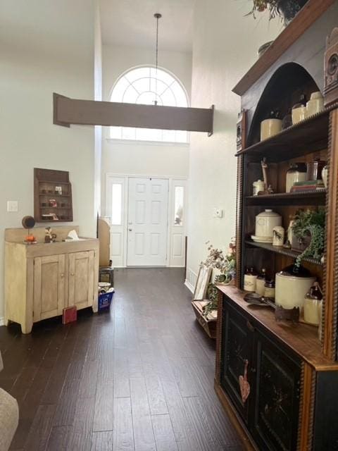 entryway featuring a towering ceiling and dark wood-type flooring