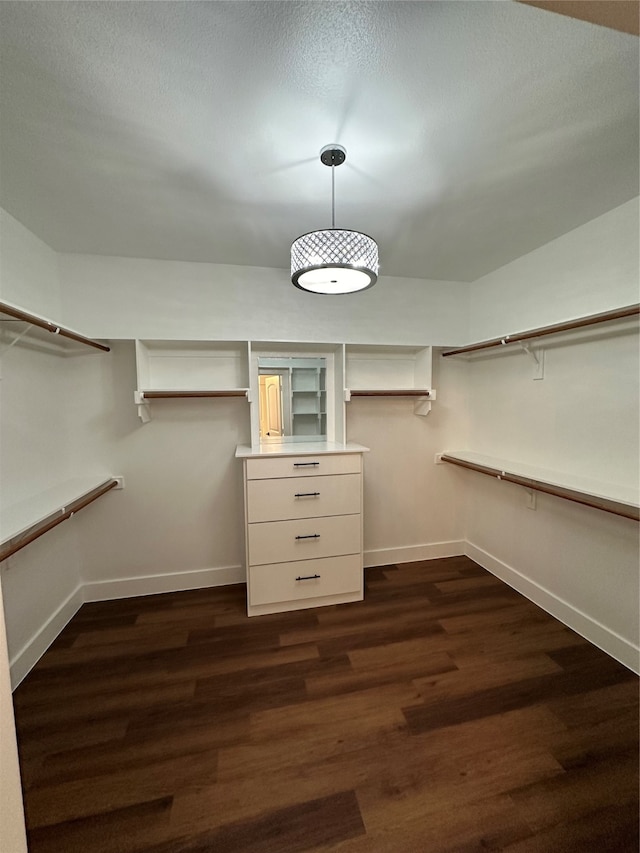 spacious closet with dark hardwood / wood-style flooring