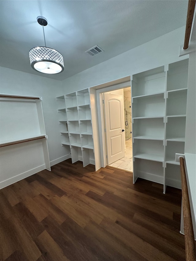 walk in closet featuring dark wood-type flooring