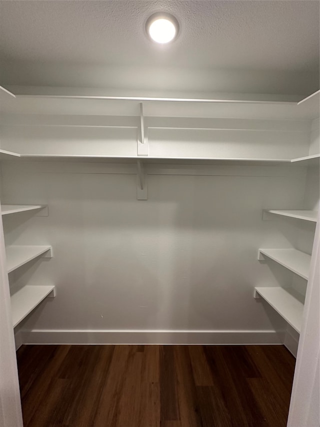 walk in closet featuring dark hardwood / wood-style flooring