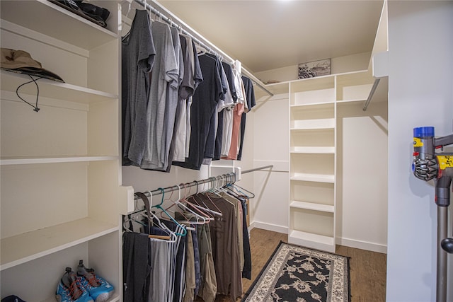 spacious closet featuring wood-type flooring