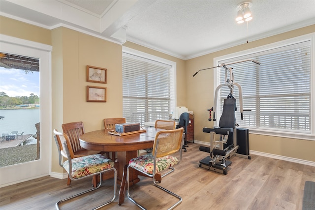 dining space featuring a textured ceiling, light wood-type flooring, and crown molding