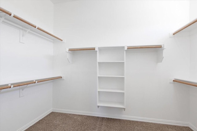 spacious closet featuring carpet