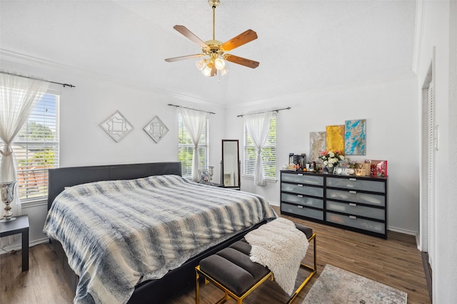 bedroom featuring ceiling fan and dark hardwood / wood-style flooring