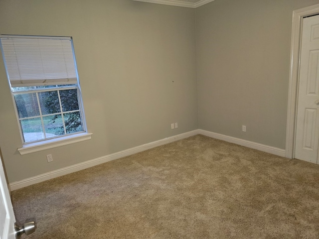 empty room with carpet flooring and crown molding