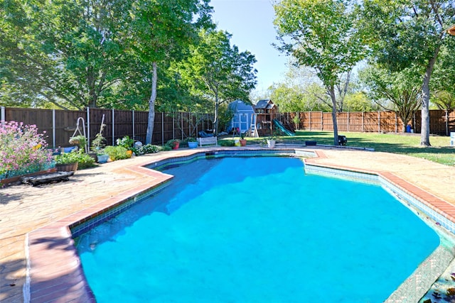 view of pool featuring a patio area and a storage shed