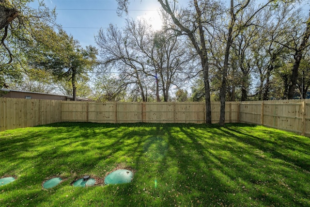 3005 Blackjack Ln, Granbury, TX 76048 - view of yard