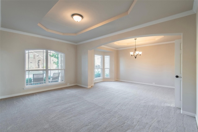 spare room featuring a healthy amount of sunlight, a raised ceiling, and light colored carpet