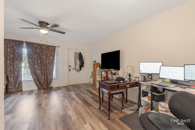 home office with ceiling fan and light hardwood / wood-style floors