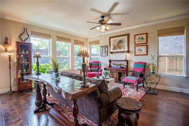 living room with dark hardwood / wood-style floors, ceiling fan, and ornamental molding