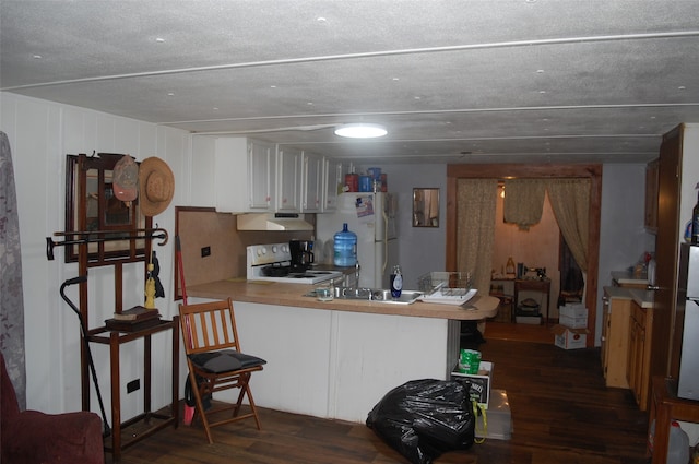 kitchen with kitchen peninsula, dark hardwood / wood-style flooring, white appliances, and white cabinetry