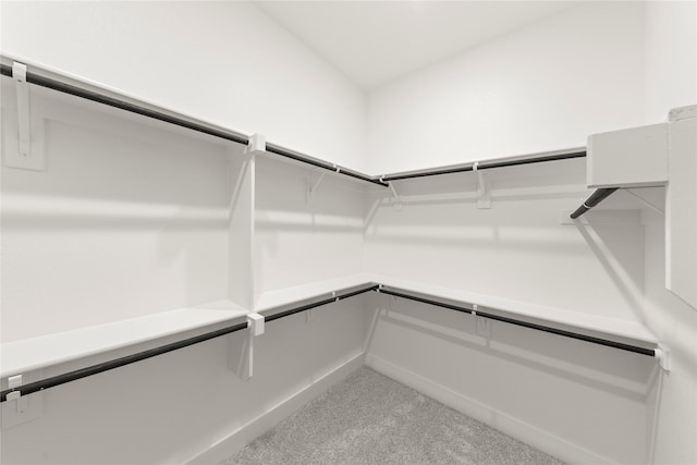 3100 Summer Rain Ln, Anna, TX 75409 - spacious closet featuring light carpet