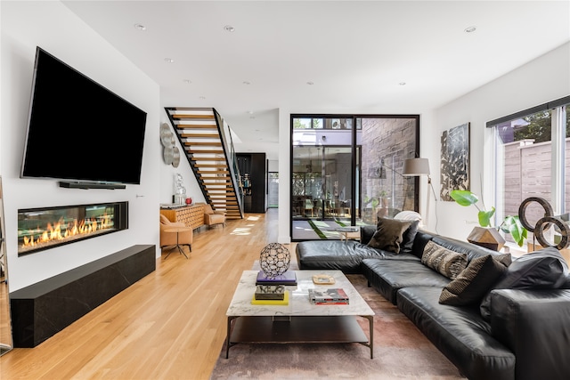 living room with wood-type flooring