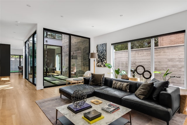 living room with light wood-type flooring