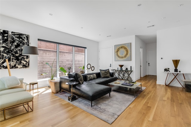 living room featuring light hardwood / wood-style flooring