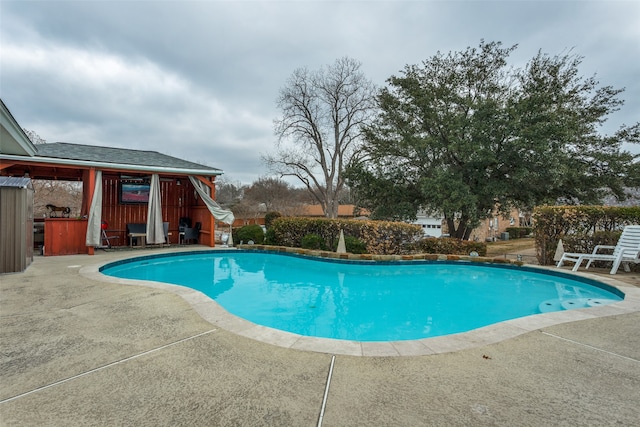 view of swimming pool with a patio area