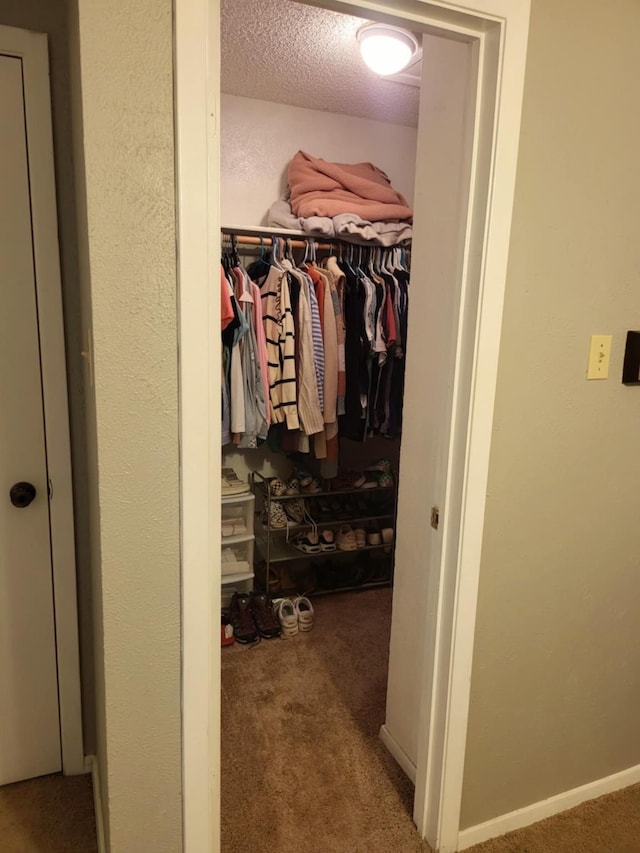 view of closet