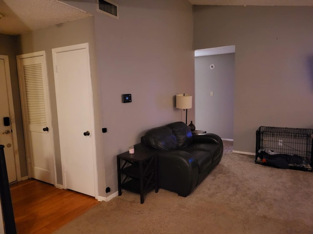 living room featuring hardwood / wood-style floors and a textured ceiling