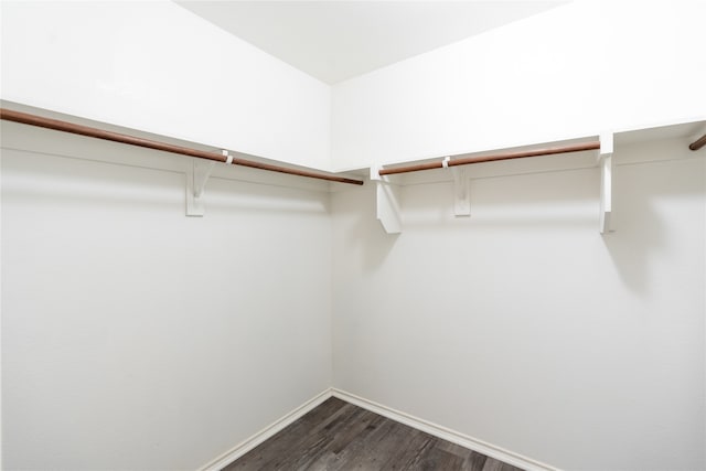 spacious closet with dark wood-type flooring