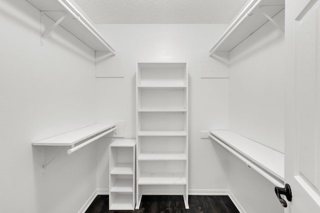 spacious closet with dark wood-type flooring