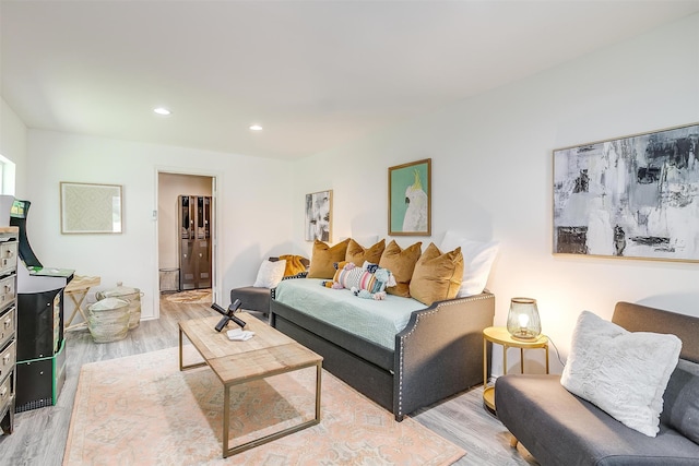 living room featuring light hardwood / wood-style floors