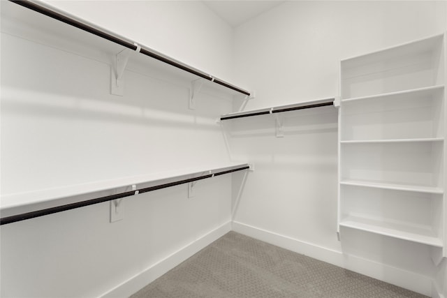 740 Wilderness Point Ln, Anna, TX 75409 - spacious closet with light colored carpet
