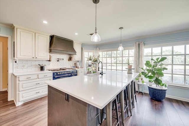 kitchen with premium range hood, high end stainless steel range oven, sink, dark hardwood / wood-style floors, and an island with sink