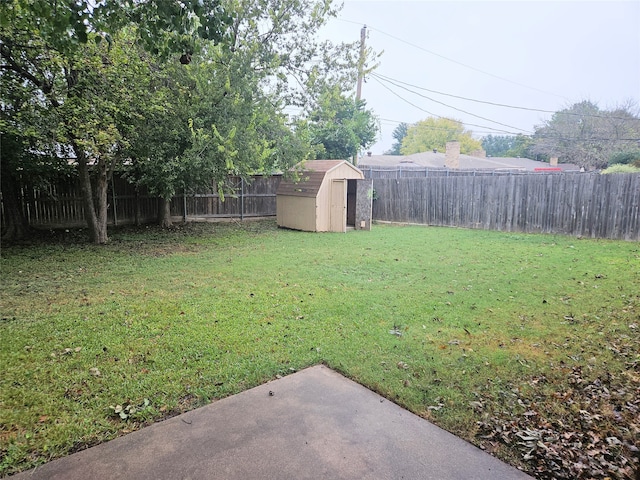 view of yard featuring a shed and a patio area