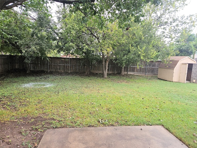 view of yard with a patio and a storage unit